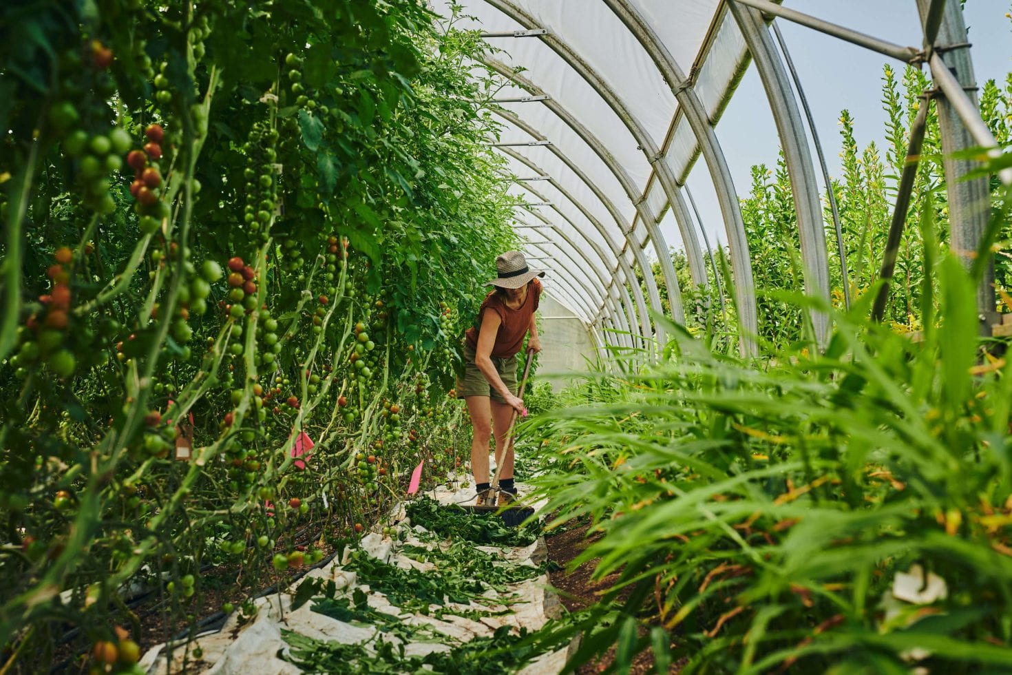 Femme se promenant au milieu des plantes dans une serre lumineuse